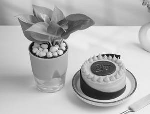 Mango Passion Fruit Eggless Bento Cake (300gm) with Money Plant Combo