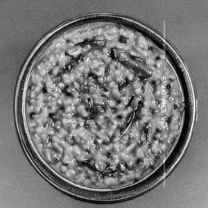 Palak Khichdi Tadka