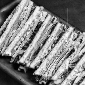 Veg Grilled Sandwich