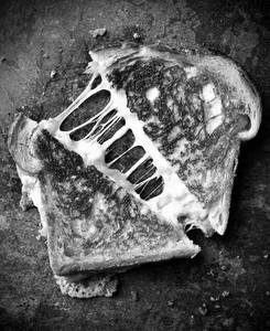 Cheese Sandwich
