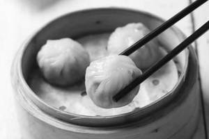 Peking Duck Dumpling