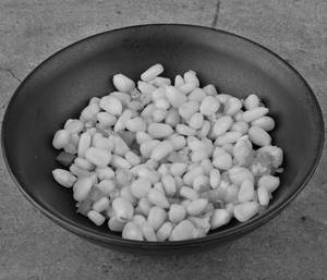 Sweet Corn