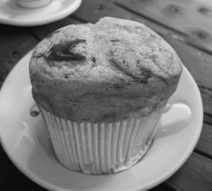 Blueberry Muffin