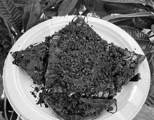 Chocolate Roasted Sandwich