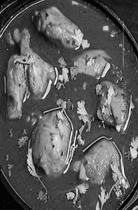 Chicken Curry
