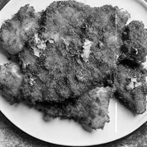 Tawa fish fry