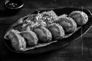 Kurkure momos  [veg] Paneer