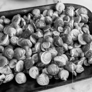 Sprouts