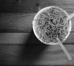 Veg Hakka Noodles