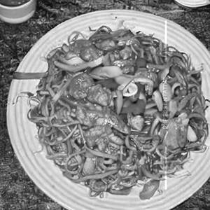 Hot spice chicken noodles