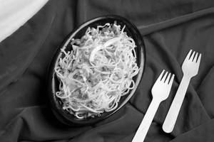 Veg Hakka Noodles