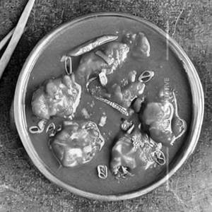 Chilli chicken gravy