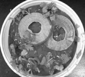 Ulavacharu Veg Maggi