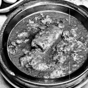 Fish Aftab