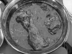 Murgh Peshawari