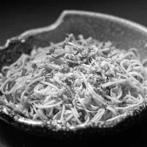 Hakka Noodles Veg