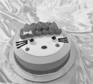 Choco Meow  Magic ( 500GM )