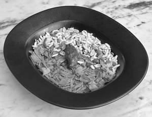 Vegan Bowl