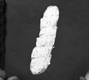 Cottage Cheese Corn Footlong Ts
