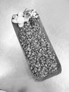 Crispy Corn