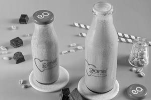 Chocolate Peanut Butter (300 Ml)