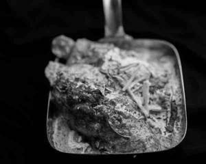 Tawa Chaap Curry