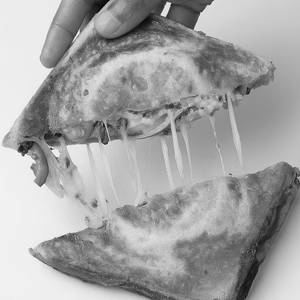 Cheese Chilli Sandwich