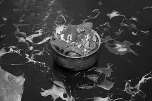 Paneer Handi