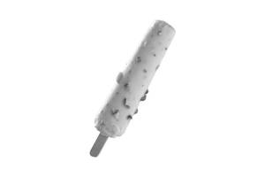 Dry Fruit Stick Kulfi