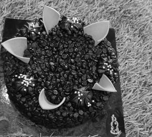 Dark chocolate chip 450 g