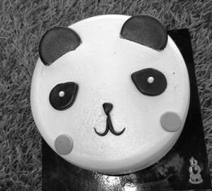 Panda chocolate vanilla 450g 