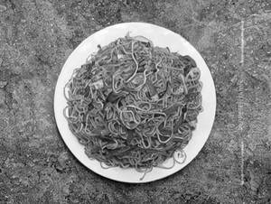 Schezwan Noodles