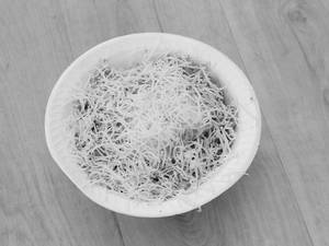 Cheese & Butter Maggi