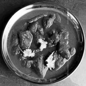 Tambada Rassa