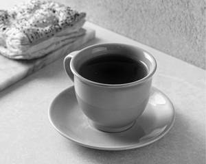 Organic Himalayan Green Tea [Tea for 1]