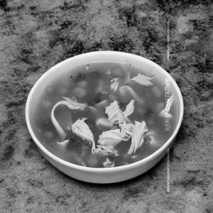 Chicken Soup