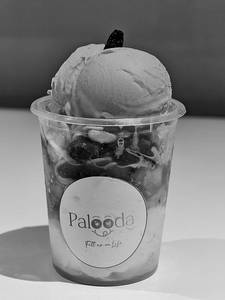 Palooda Bliss Falooda