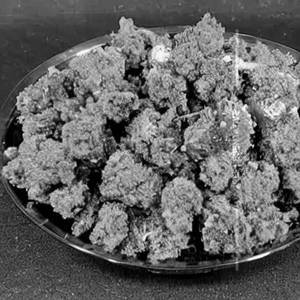 Andhra Kodi Iguru