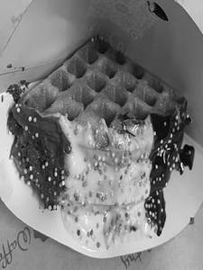 Triple Chocolate Waffle Dark