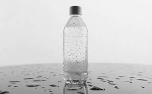 Yummy Water Bottle