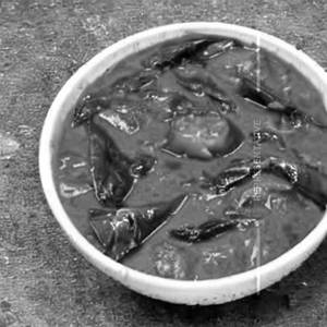 Tomato Palak