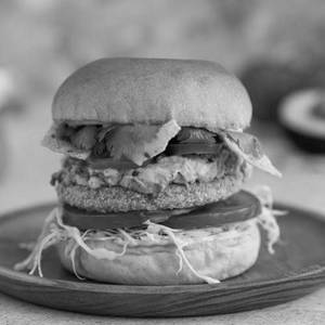 Mexican Veggies Burger
