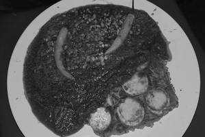 Mughlai curry