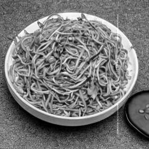 Egg Soft Noodles (Shezwan)