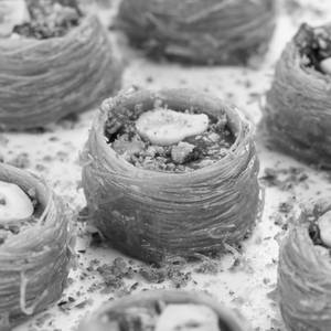Nutella Bulbul Nest