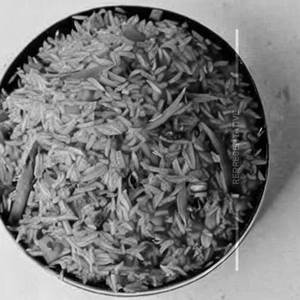 Fish Schezwan Fried Rice