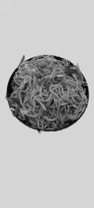 Veg Chilly Garlic Noodles