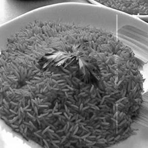 Tomato Rice