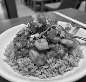 Chicken Fried Rice + Kerala Chicken Masala