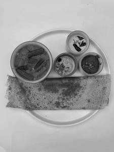 Erra Karam Dosa